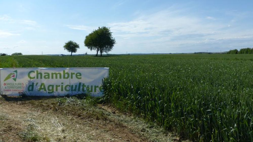 © A. Cassigneul/GFA